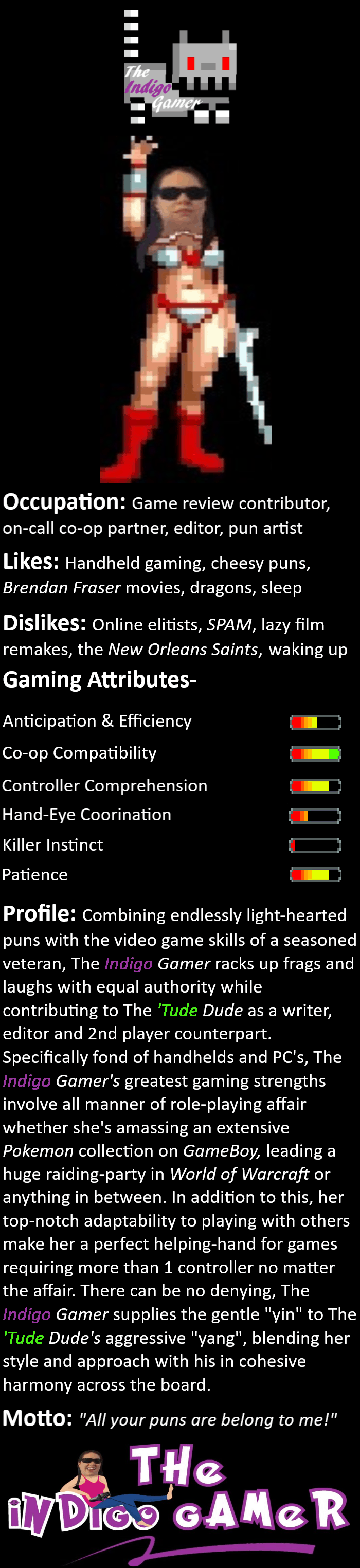 The Indigo Gamer Biography - A brief summary of The Indigo Gamer's overall credentials. Refer to the About The 'Tude Dude page for more information.