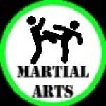Martial Arts Film Assessments